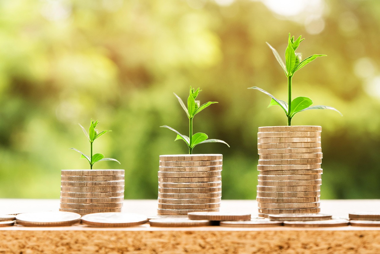 Pension Drawdown vs Annuity: Making the Choice